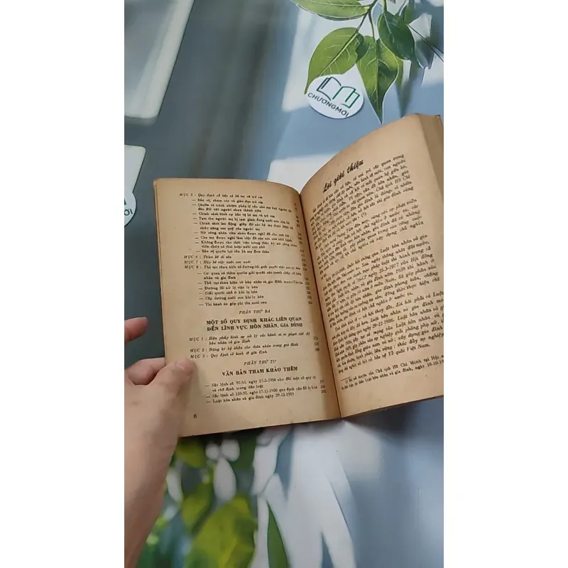 [XƯA] Luật Lệ Về Hôn Nhân Và Gia Đình (1987) 776079