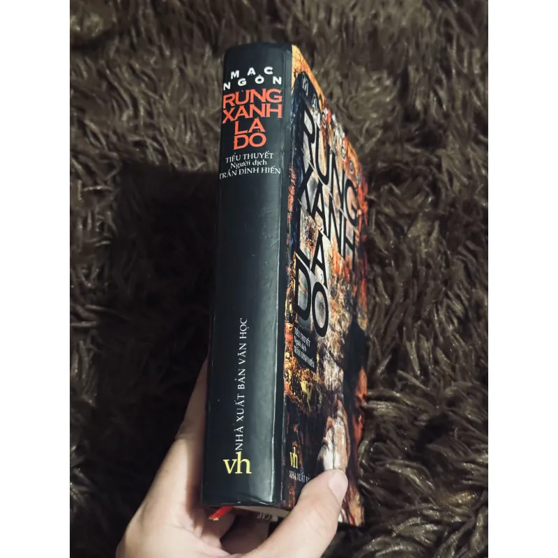 Rừng xanh lá đỏ 996357