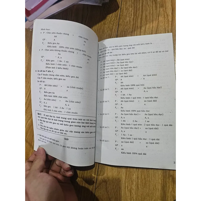 Giải bài tập sinh học 9
20k 729830