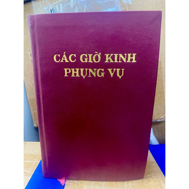 Các giờ kinh Phụng vụ 1995 543381