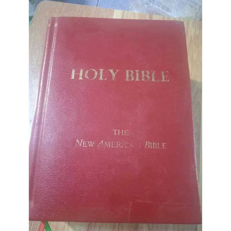 Kinh Thánh Cứng Mỹ màu Đỏ Việt Nam ấn bản truyền thống 783339