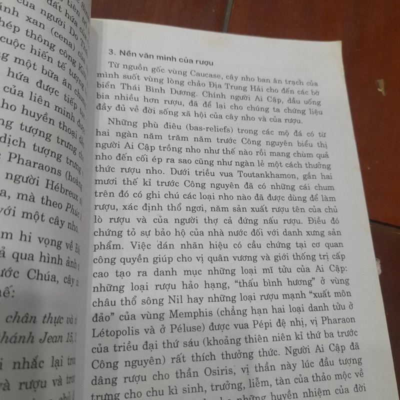 RƯỢU trong đời sống văn hóa Phương Tây 518811