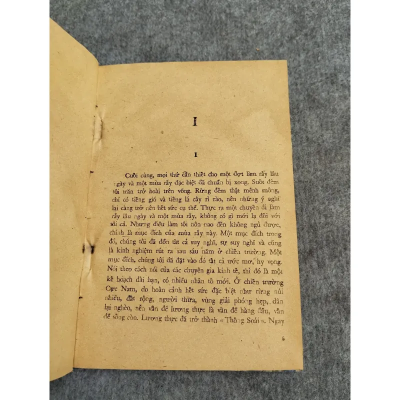 MÙA RẪY - NAM HÀ 606651