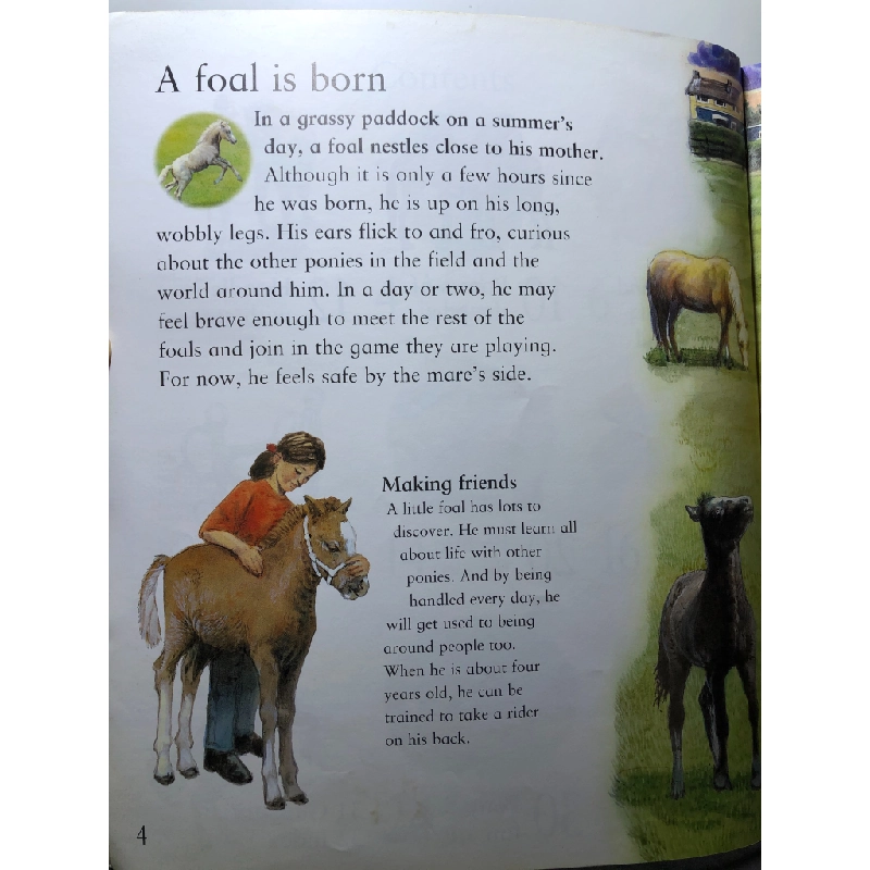 My Best Book of Ponies mới 85% bẩn nhẹ KINGFISHER HPB3107 NGOẠI VĂN 350436