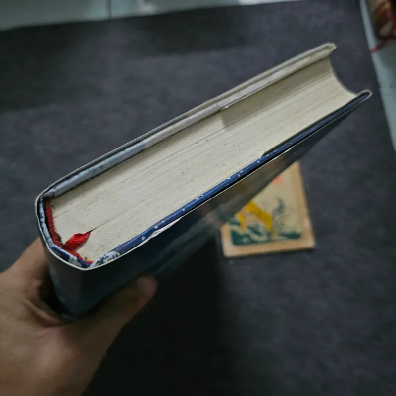 Mong manh hoa tuyết - bìa cứng 747745