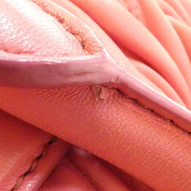 Miu Miu RL0066 Túi - Hàng hiệu Chính hãng 770460