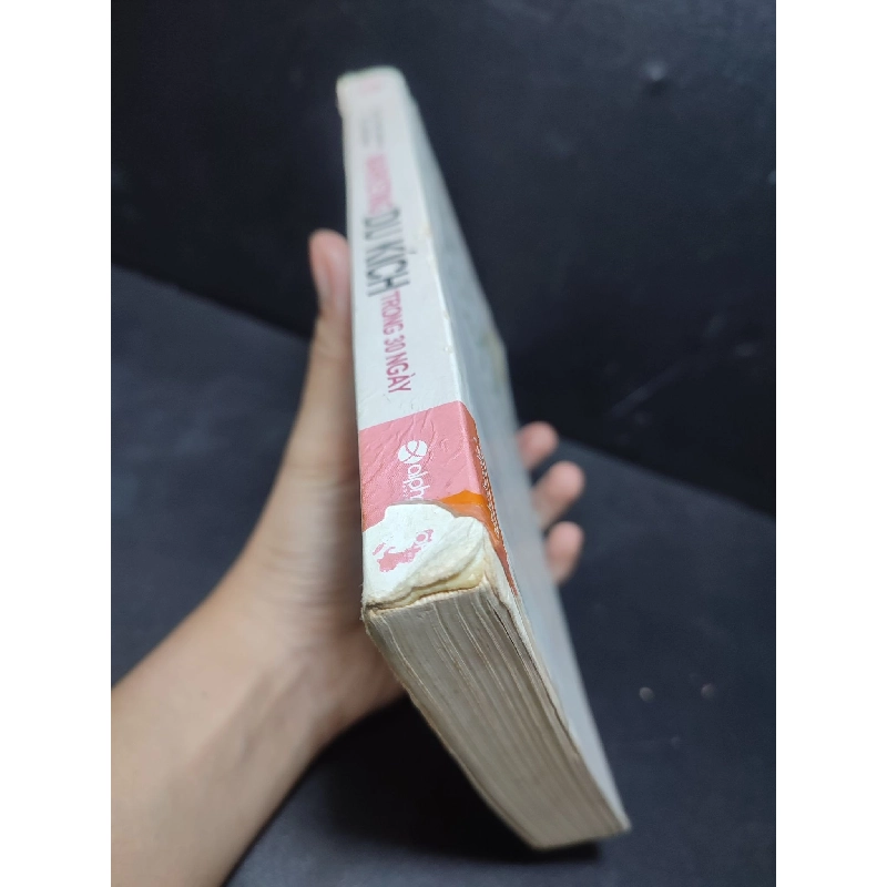 Marketing du kích trong 30 ngày 2013 Jay Conrad Levinson mới 75% ố , viết , rách gáy (marketing kinh doanh) HCM2701 913125