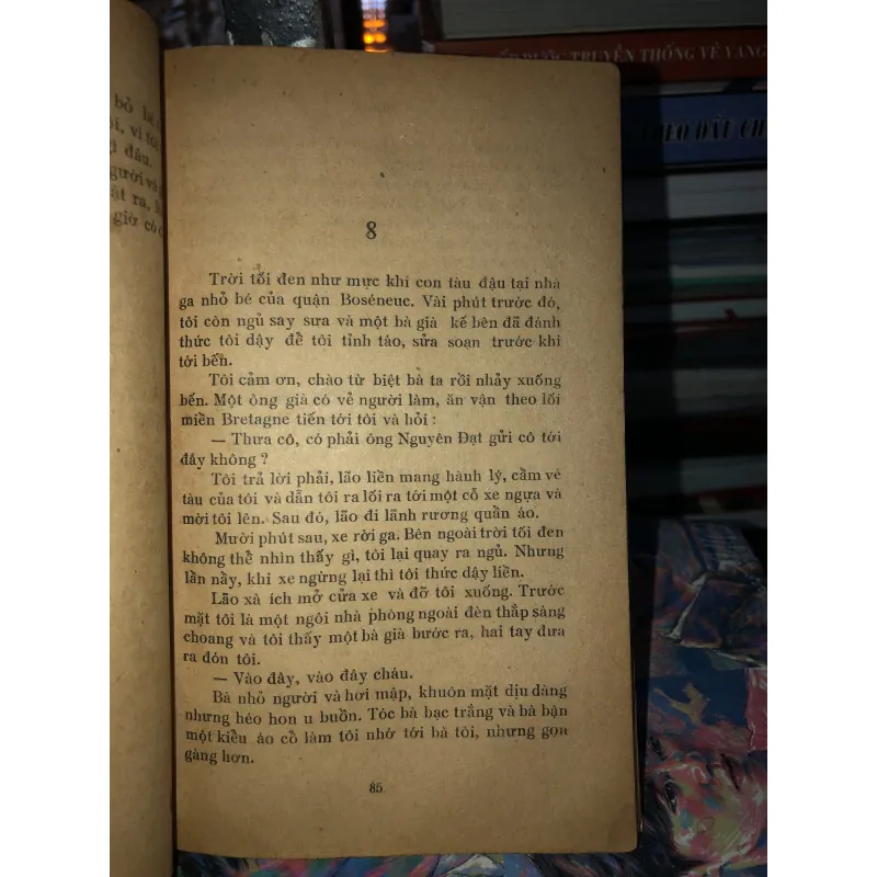 Mắt sao gợi nhớ - Delly 973342