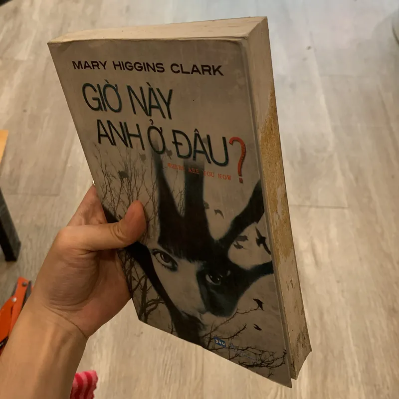 Giờ này anh ở đâu? - Mary Higgins Clark 589070