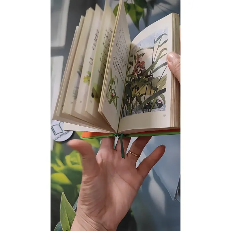 [MIỄN PHÍ BỌC SÁCH] Dế Mèn Phiêu Lưu Ký - Tô Hoài 990054