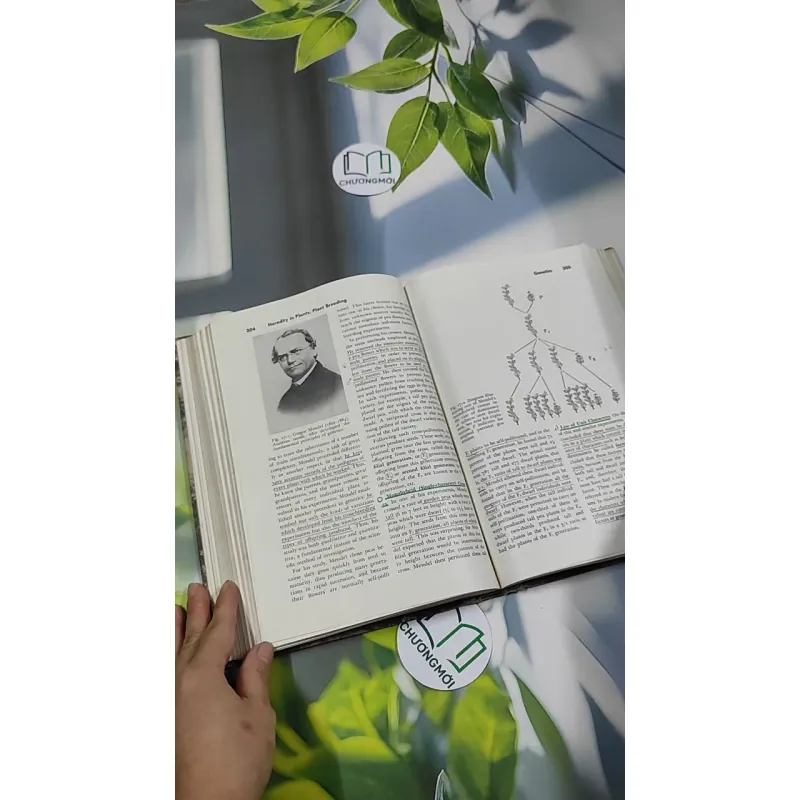 [MIỄN PHÍ BỌC SÁCH] The Plant World - Harry J. Fuller 750801