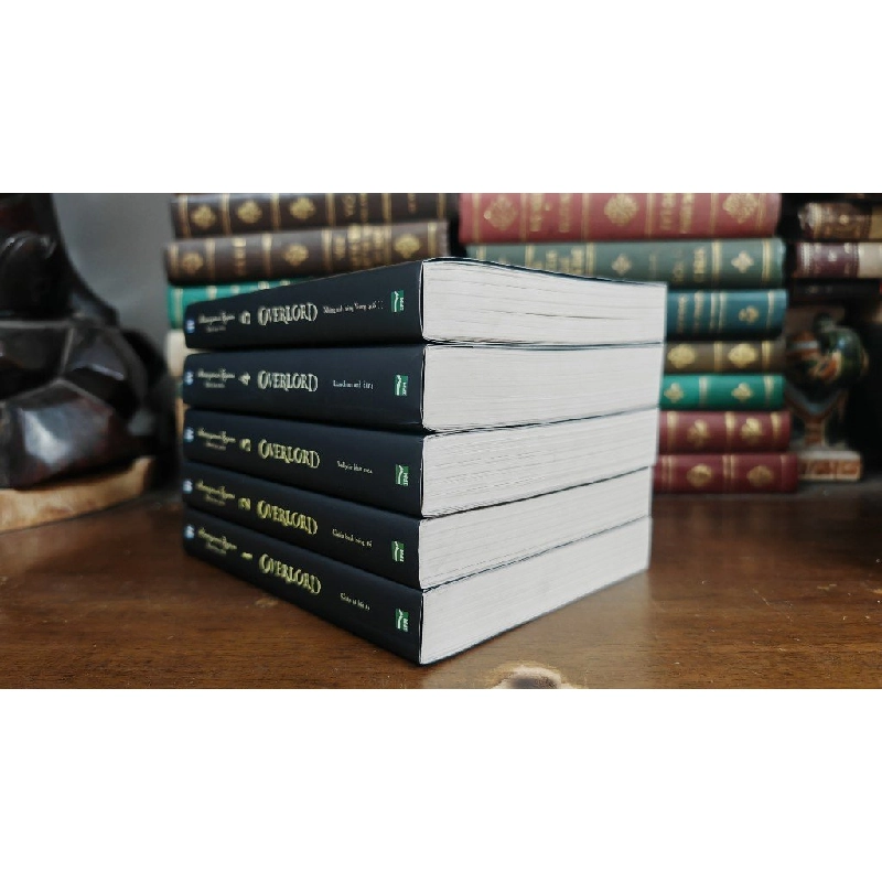 LIGHT NOVEL OVERLORD 337917