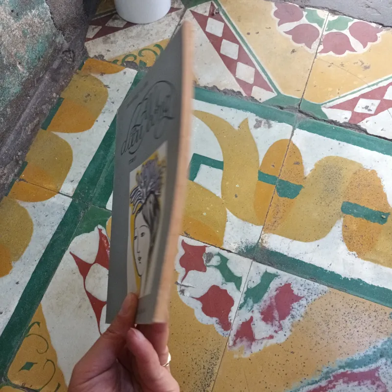 Thơ Lá Diêu Bông - Hoàng Cầm 796617