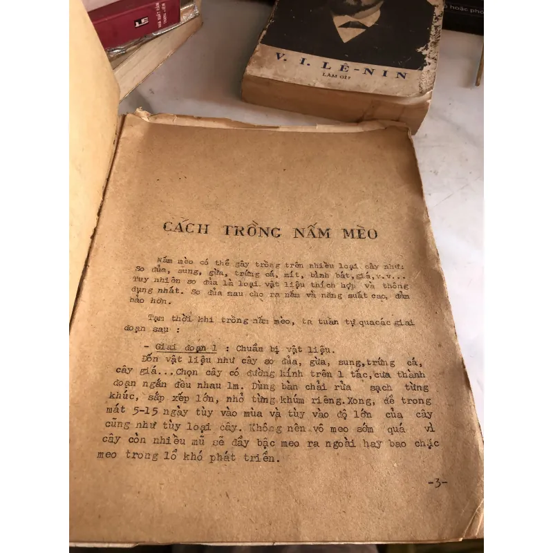 Phương pháp trồng nấm mèo  1004263