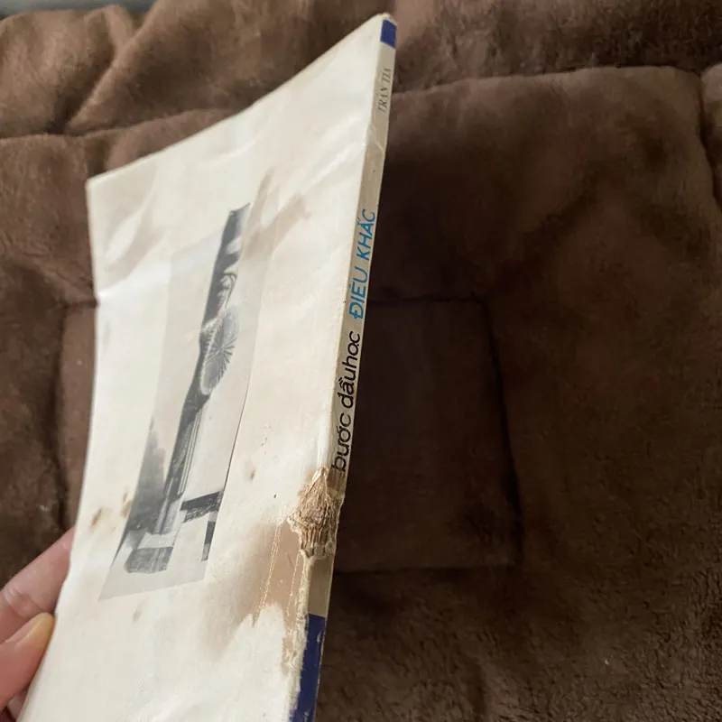 Bước đầu học điêu khắc 674399