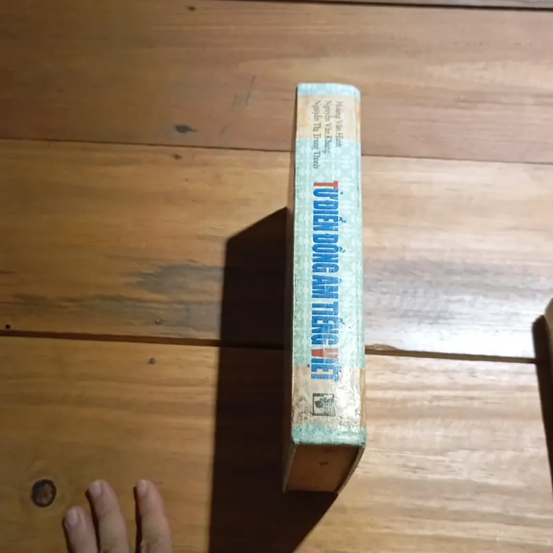 Từ điển đồng âm tiếng Việt  577020