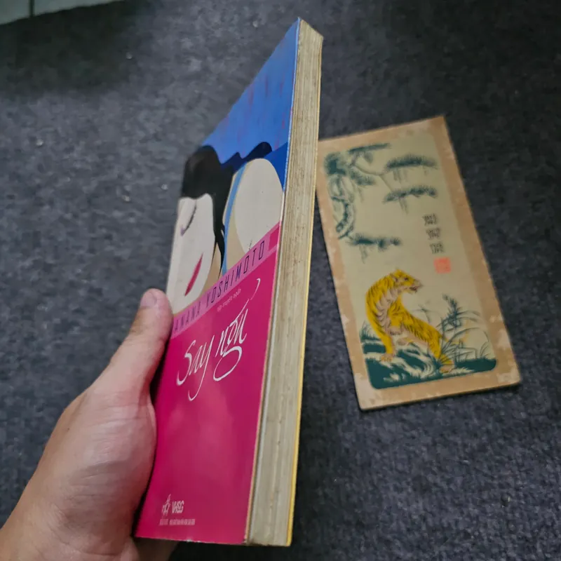 Say ngủ - Yoshimoto Banana 733981