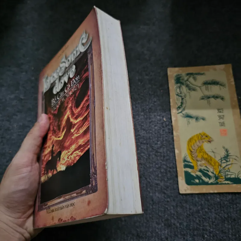 Bồ câu cô đơn 733059