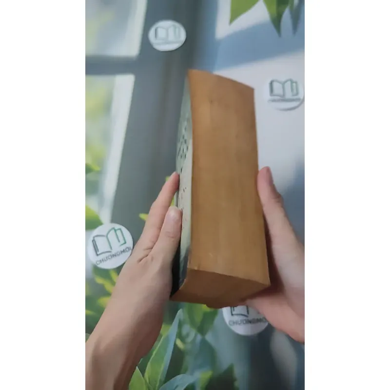 Balance of Power - Richard North Patterson 1027507