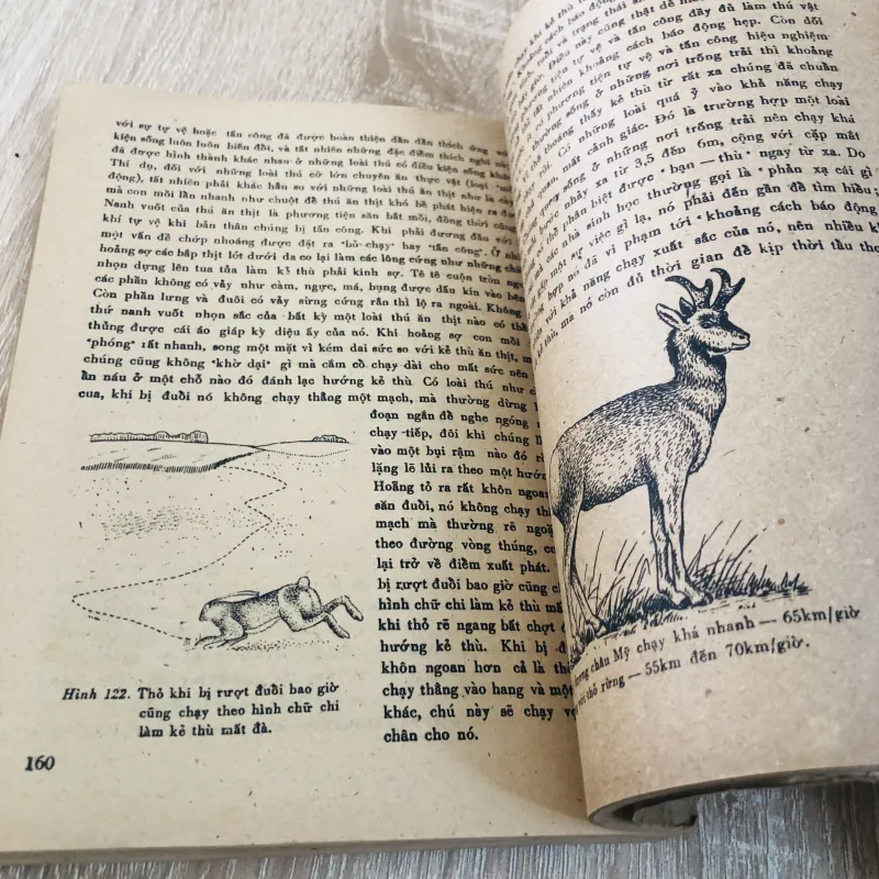 Đời sống các loài thú 1979 929091