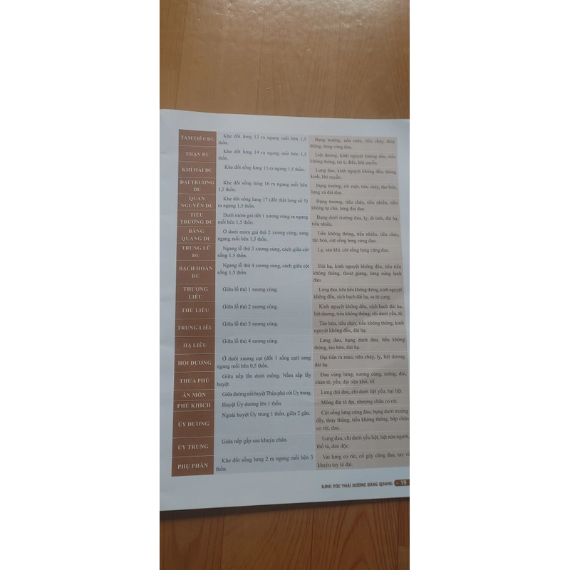 KINH LẠC HUYỆT VỊ  502885