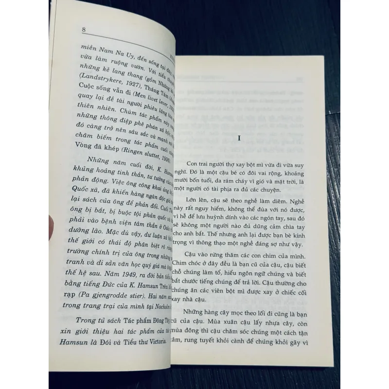 Tiểu thư Victoria - Knut Hamsun 689612