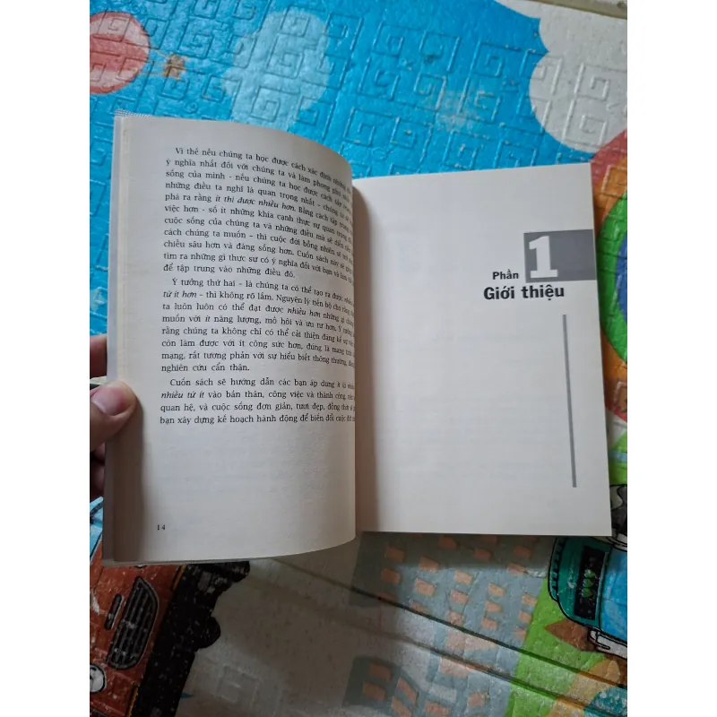 Sống Theo Phương Thức 80/20 994145