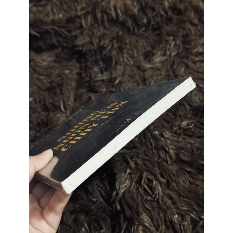 Những ngọn nến cháy tàn (seal) 993239