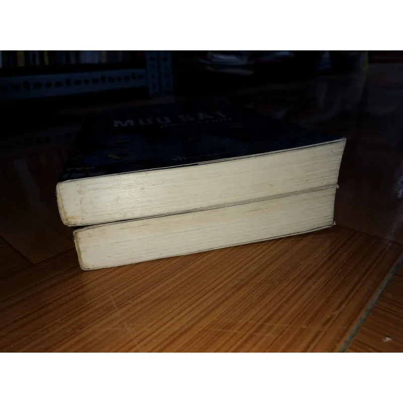 Mưu sát tuổi xuân - Sái Tuấn 971372