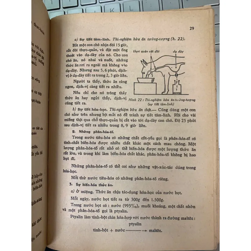 VẠN VẬT HỌC LỚP 9 - NGÔ ĐÌNH HOÀN 778858