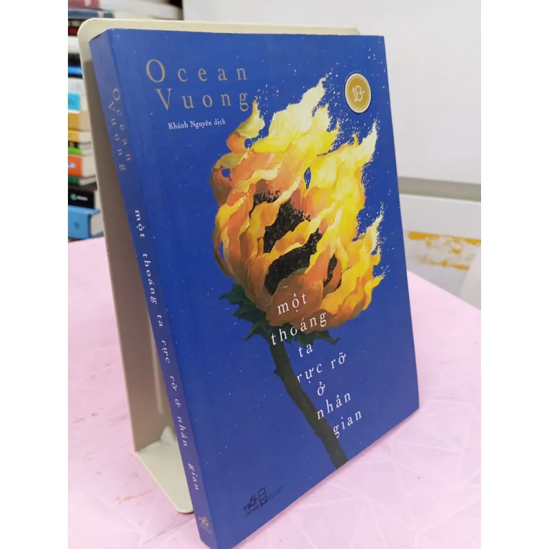 Một Thoáng Ta Rực Rỡ Ở Nhân Gian – Ocean Vương | Tiểu Thuyết Văn Học Hiện Đại 960554