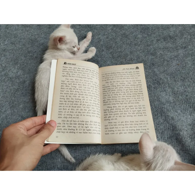 ĐÊM NGỌT - HỒ VIỆT KHUÊ 567796