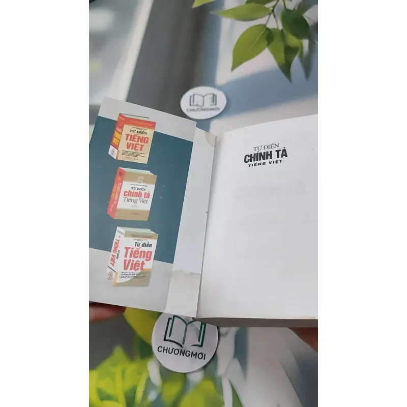 Từ Điển Chính Tả Tiếng Việt 727289