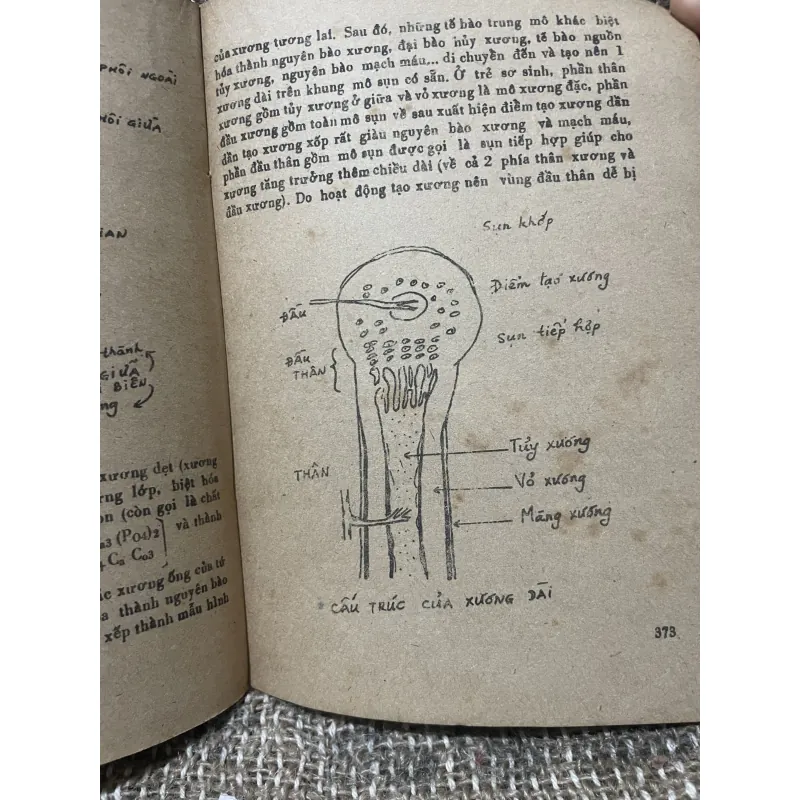 TRƯỜNG ĐẠI HỌC Y DƯỢC TP. HỘ CHÍ MNH - GIẢI PHẨU BỆNH HỌC - 500 trang  1007036