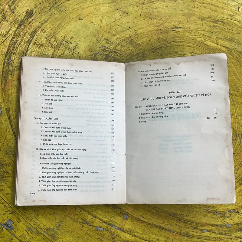 NHẬP MÔN CHU DỊCH DỰ ĐOÁN HỌC- THIỆU VĨ HOA 736174