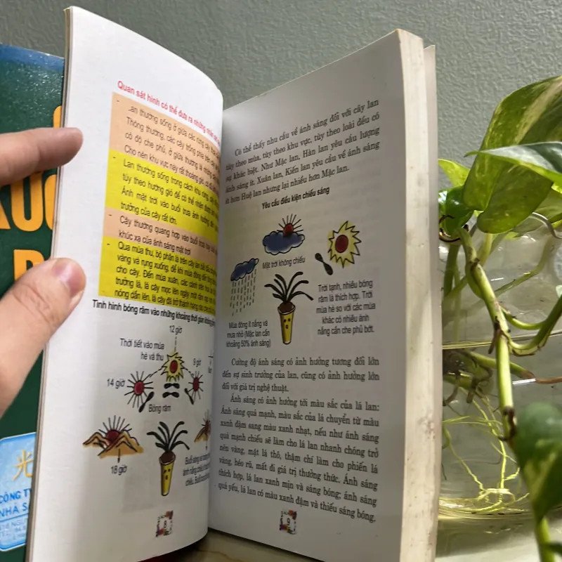 Combo kỹ thuật trồng lan - cây xương rồng 750748