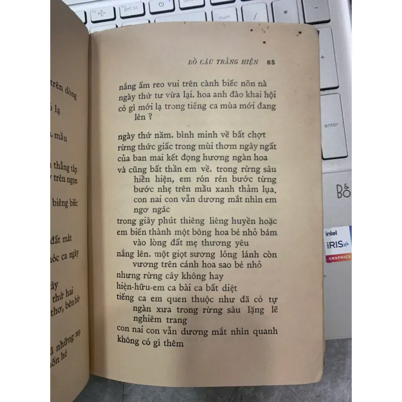 CHẮP TAY NGUYỆN CẦU CHO BỒ CÂU TRẮNG HIỆN - NHẤT HẠNH 601812