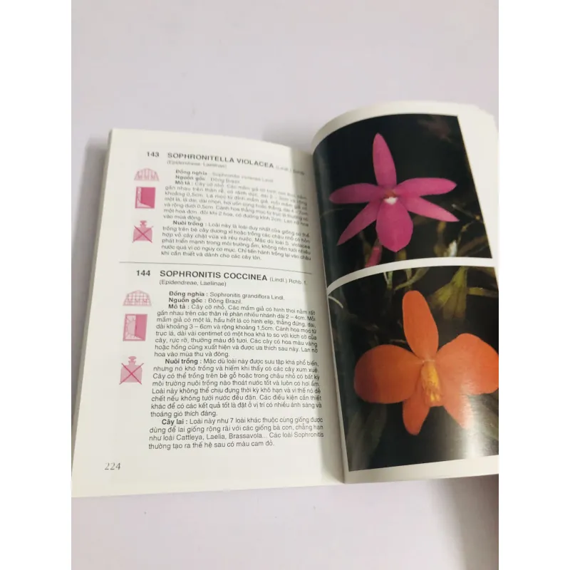 KỸ THUẬT NUÔI TRỒNG CẤY LAN 760013