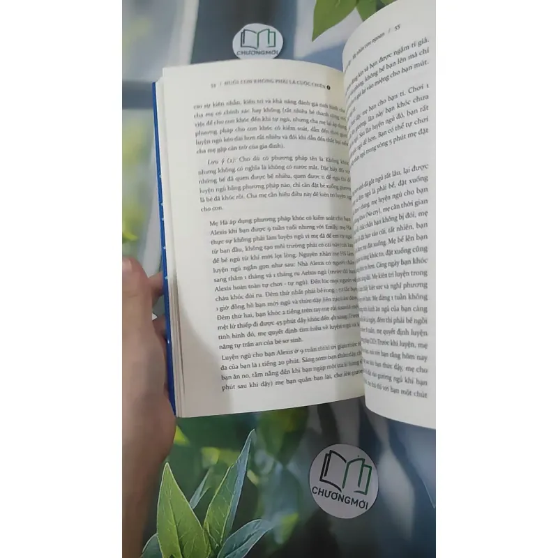 Nuôi Con Không Phải Là Cuộc Chiến 1 - Bubu Hương & Mẹ Ong Bông & Hachun Lyonnet 1018930