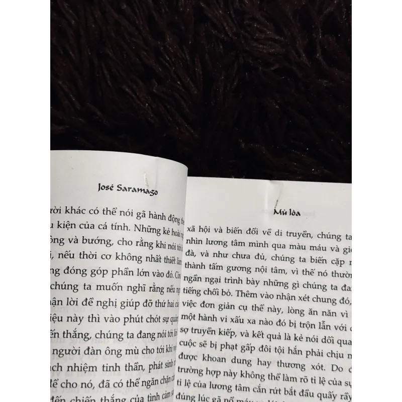 Mù loà - Joe Saramago 758043