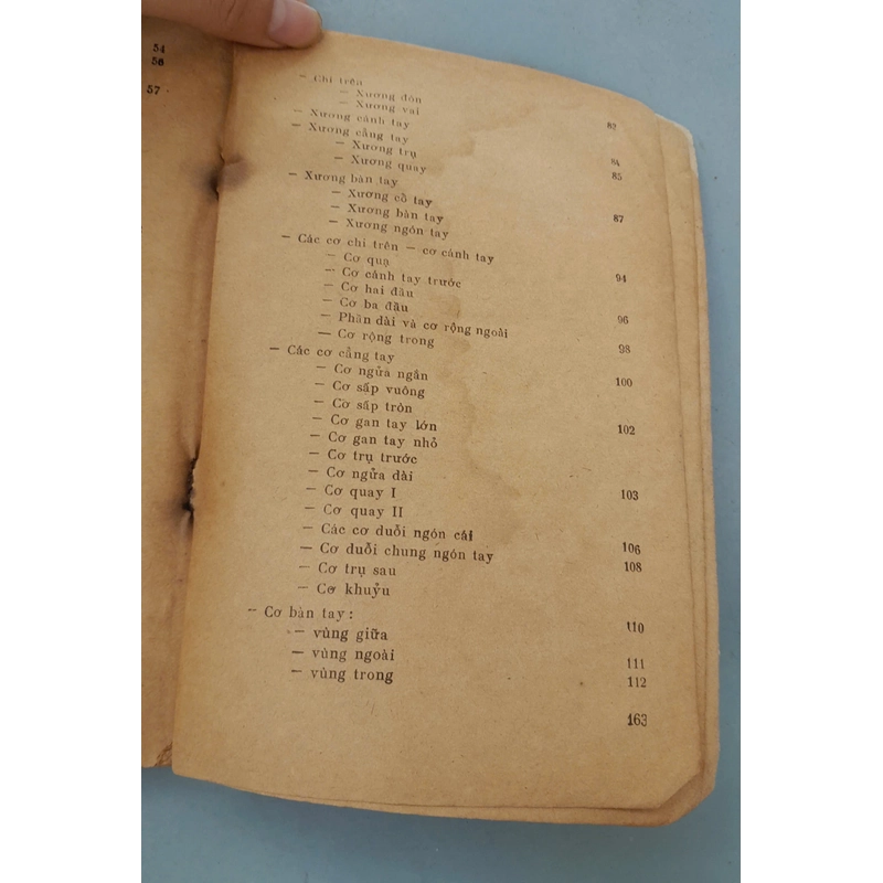 GIẢI PHẪU TẠO HÌNH - LƯƠNG XUÂN NHỊ 443800