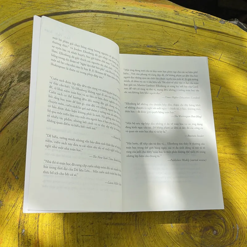 ĐỂ KHÔNG PHẠM SAI LẦM - JORDAN ELLENBERG 734246