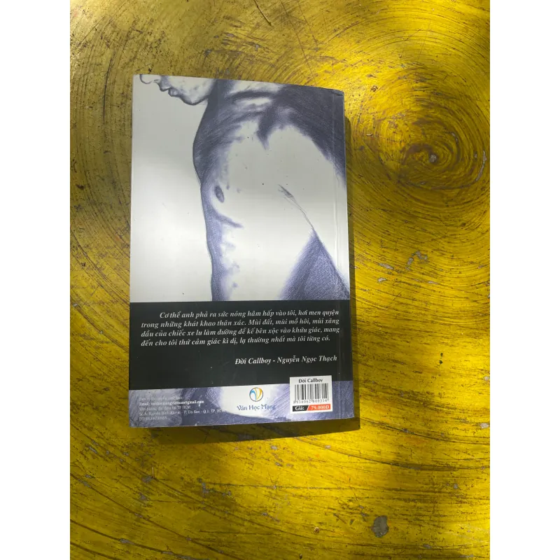 ĐỜI CALLBOY- NGUYỄN NGỌC THẠCH 722838