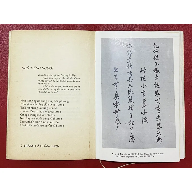 Thân Thị Ngọc Quế - Combo thơ 1027525