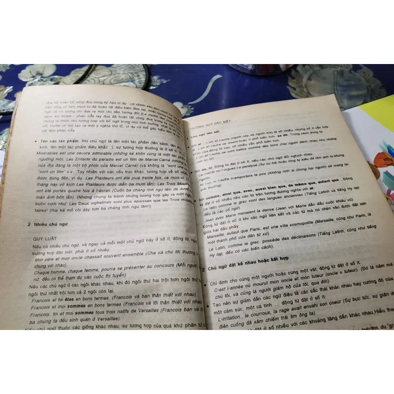 [Tiếng Pháp cơ bản] Cách chia 12000 Động từ Tiếng Pháp - Xuân Hùng 1008538