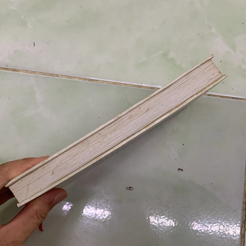 Sách Đúng việc - Giản tư trung 521056