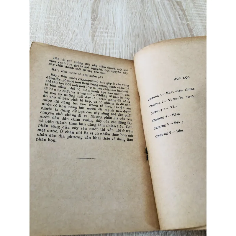 HỎI ĐÁP VỀ THỰC VẬT – trọn bộ 5 tập 🌿 956957