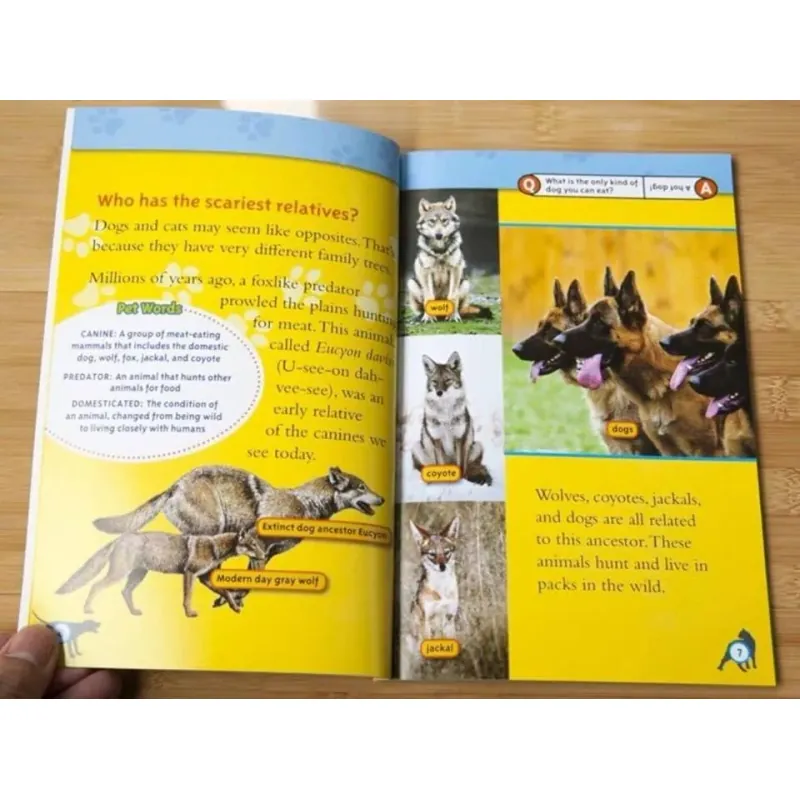 National geographic (Sách nhập) - Level 3 - 38 quyển + File Mp3 759654