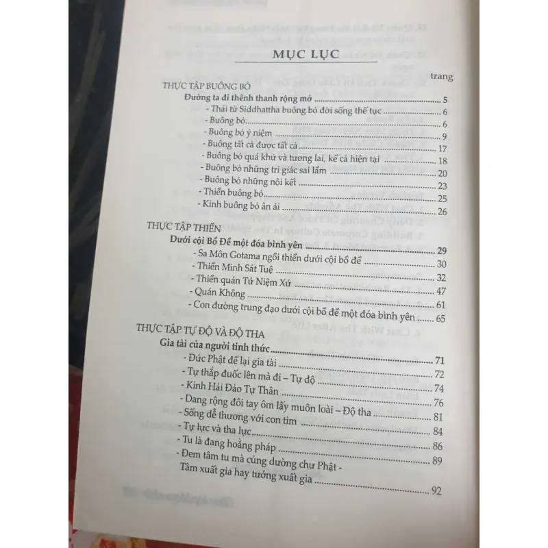 Gia Tài Của Người Tỉnh Thức - Thực Tập Kham Nhẫn 696621