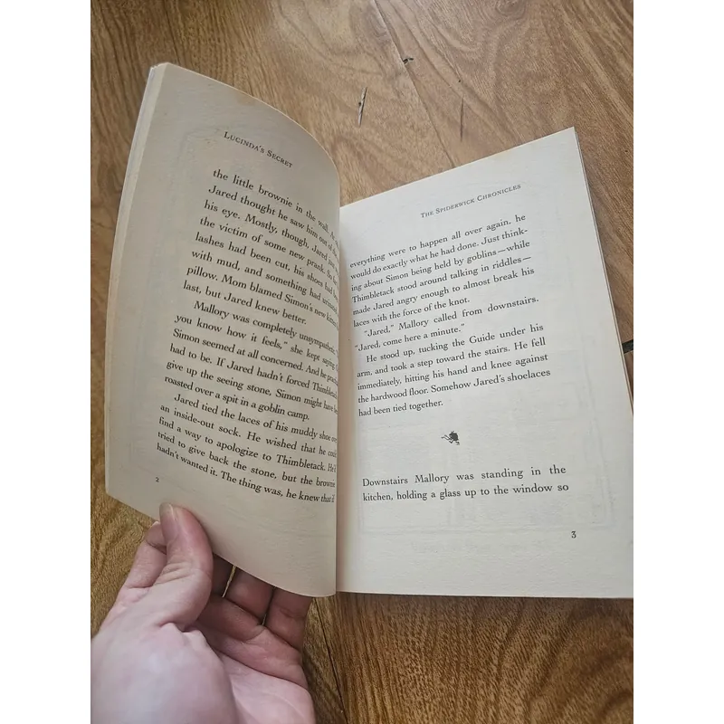 The Spiderwick Chronicles Diterlizzi & Black book 3
20k 673813